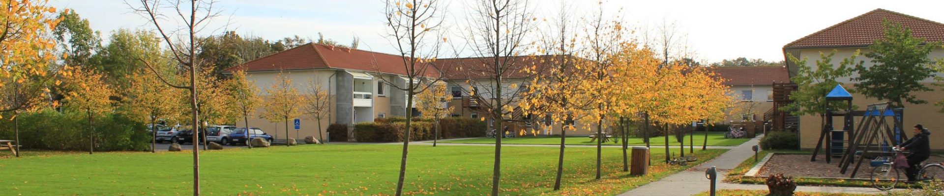 Drift og vedligeholdelse